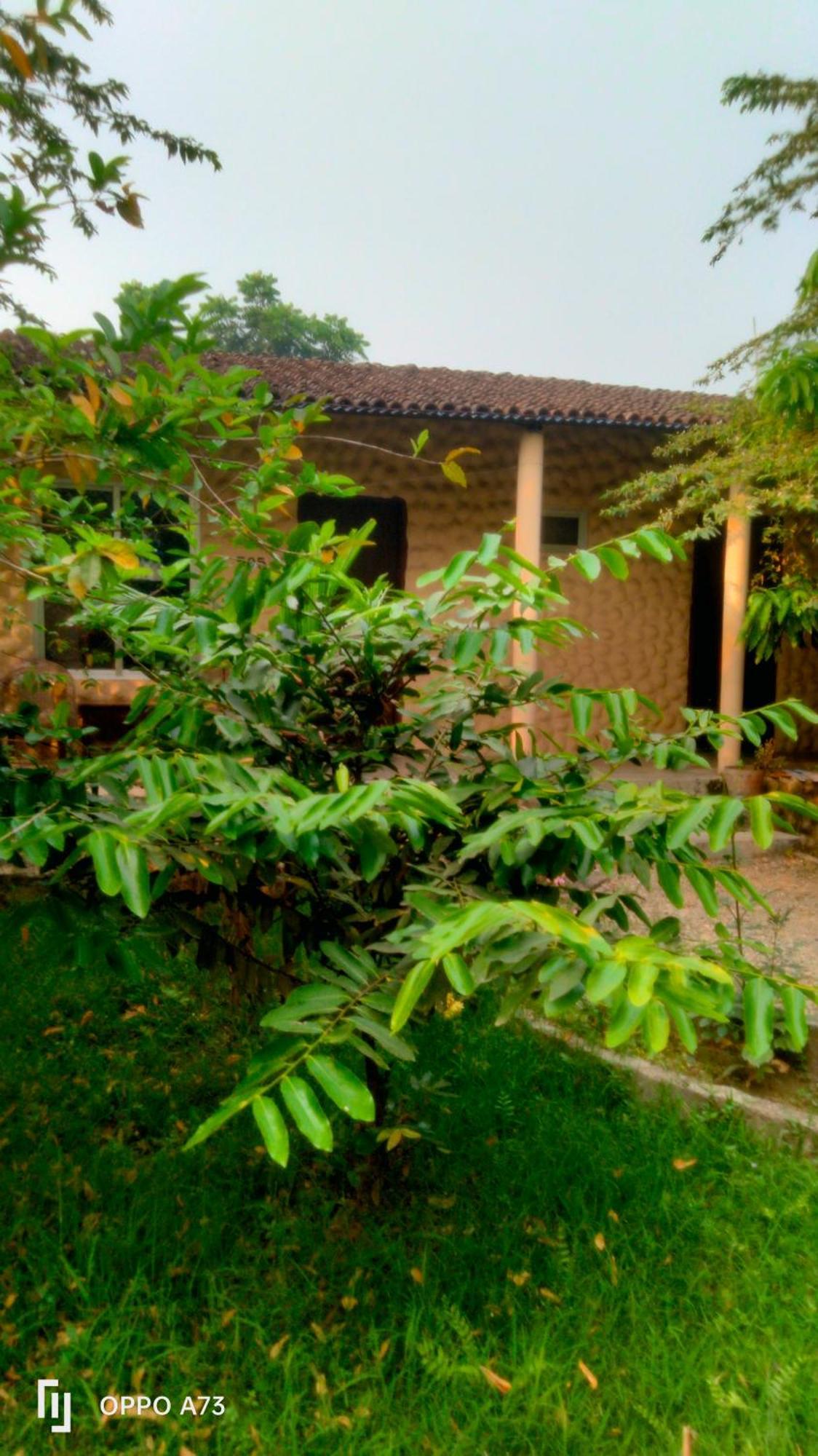 Hotel Tiger Tops Sauraha Zimmer foto